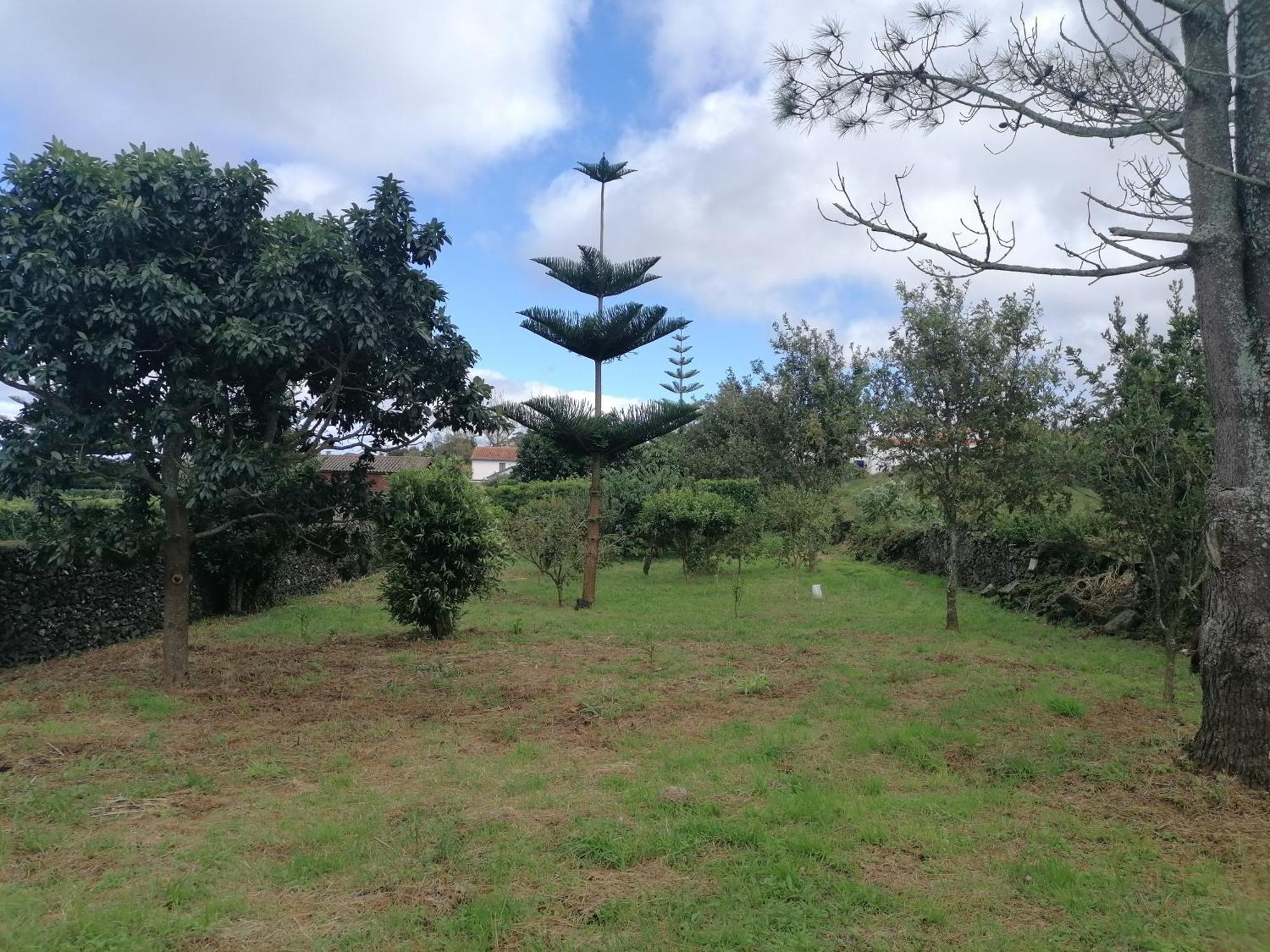 Espaco Roteiro De Mimos São Vicente Ferreira Exterior foto